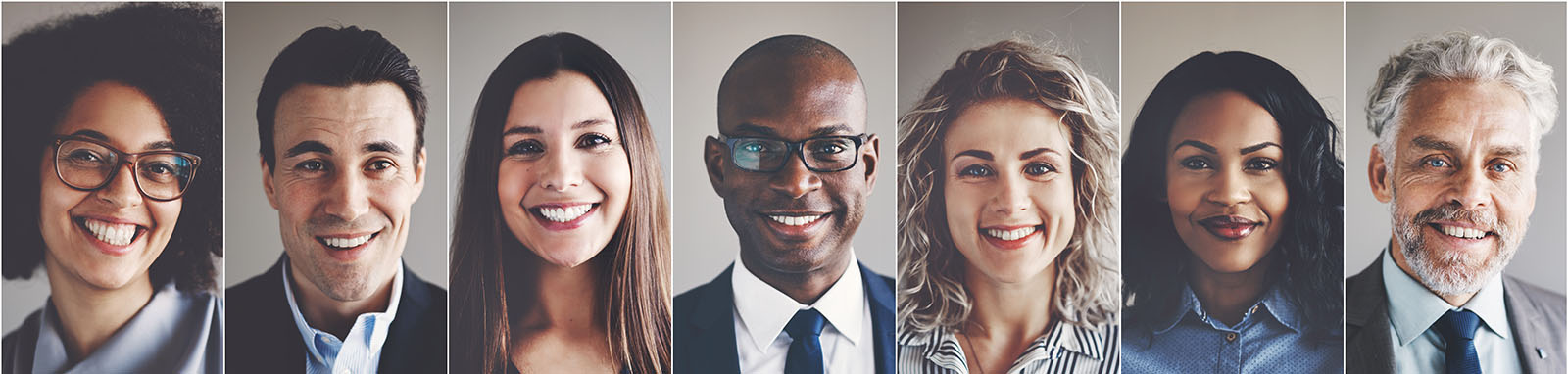Diverse group of accountants