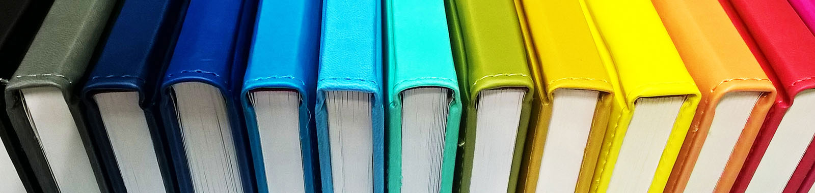Multicoloured books in a row